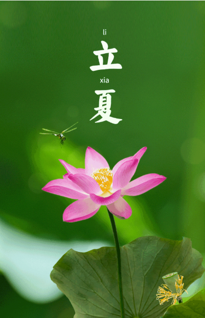 图片6