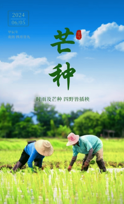 2024年6月5日新闻-芒种