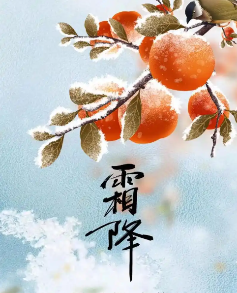 2023年10月24日新闻-霜降