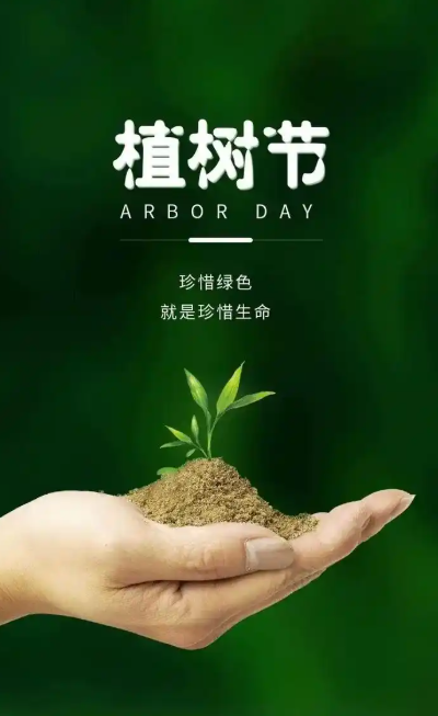 2024年3月12日新闻-植树节